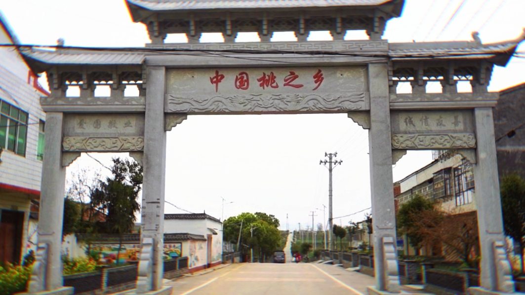 中国桃之乡 —— 湖北枣阳